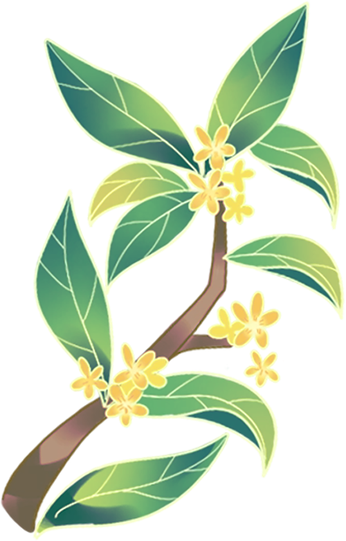 NZiD, om, bt NZiD, om, bt