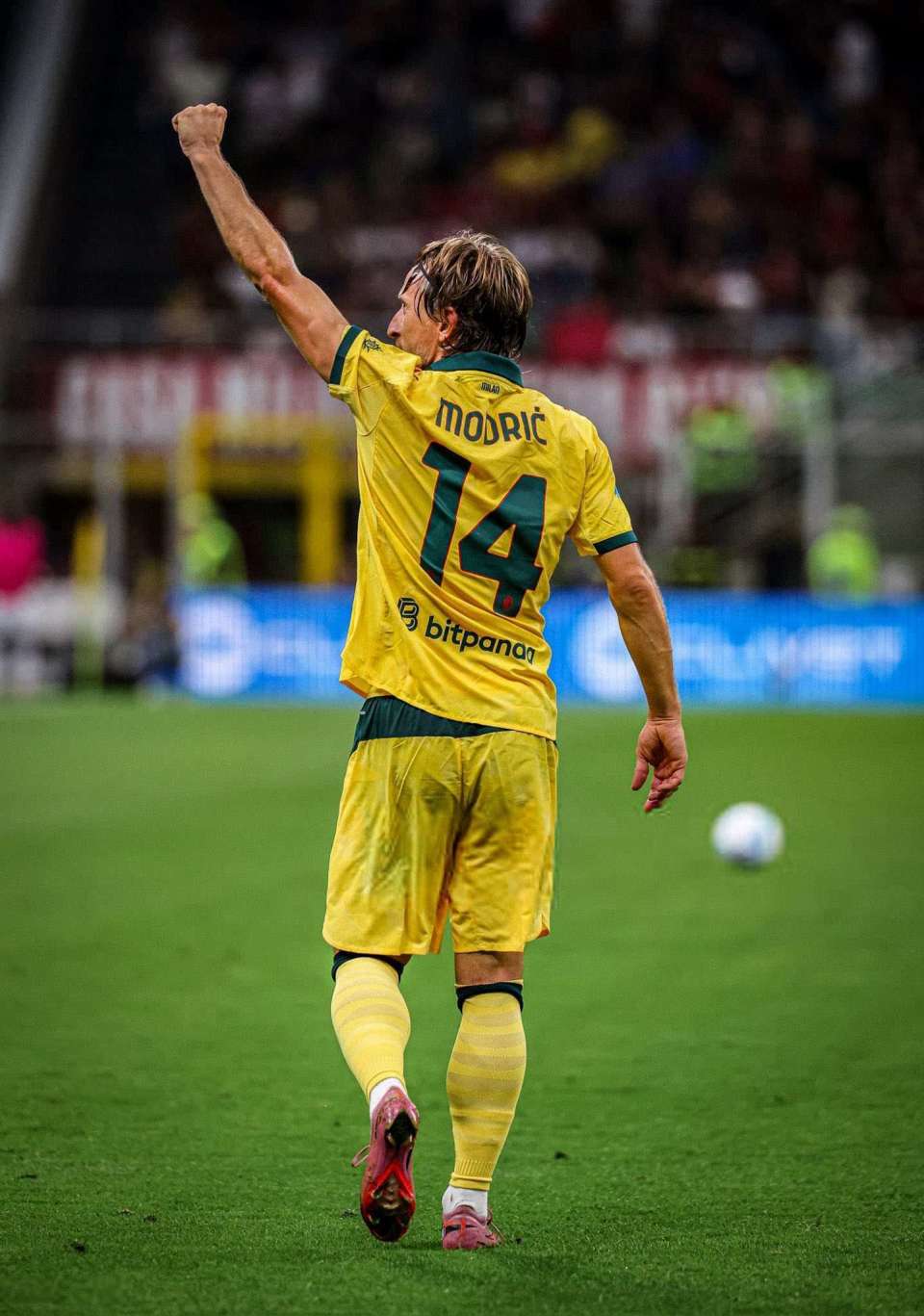 zsm, 的转折, 是一个或许 zsm, 的转折, 是一个或许